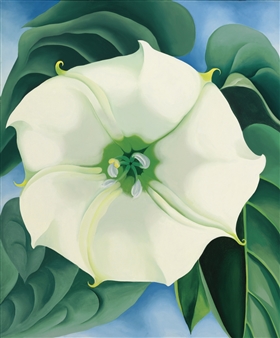 JIMSON WEED/WHITE FLOWER NO. 1 - Georgia O'Keeffe