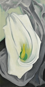 WHITE CALLA LILY - Georgia O'Keeffe