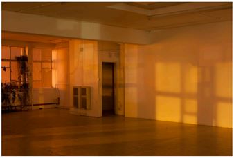 Wolfgang Tillmans: The Point Is Matter - David Zwirner, Hong Kong